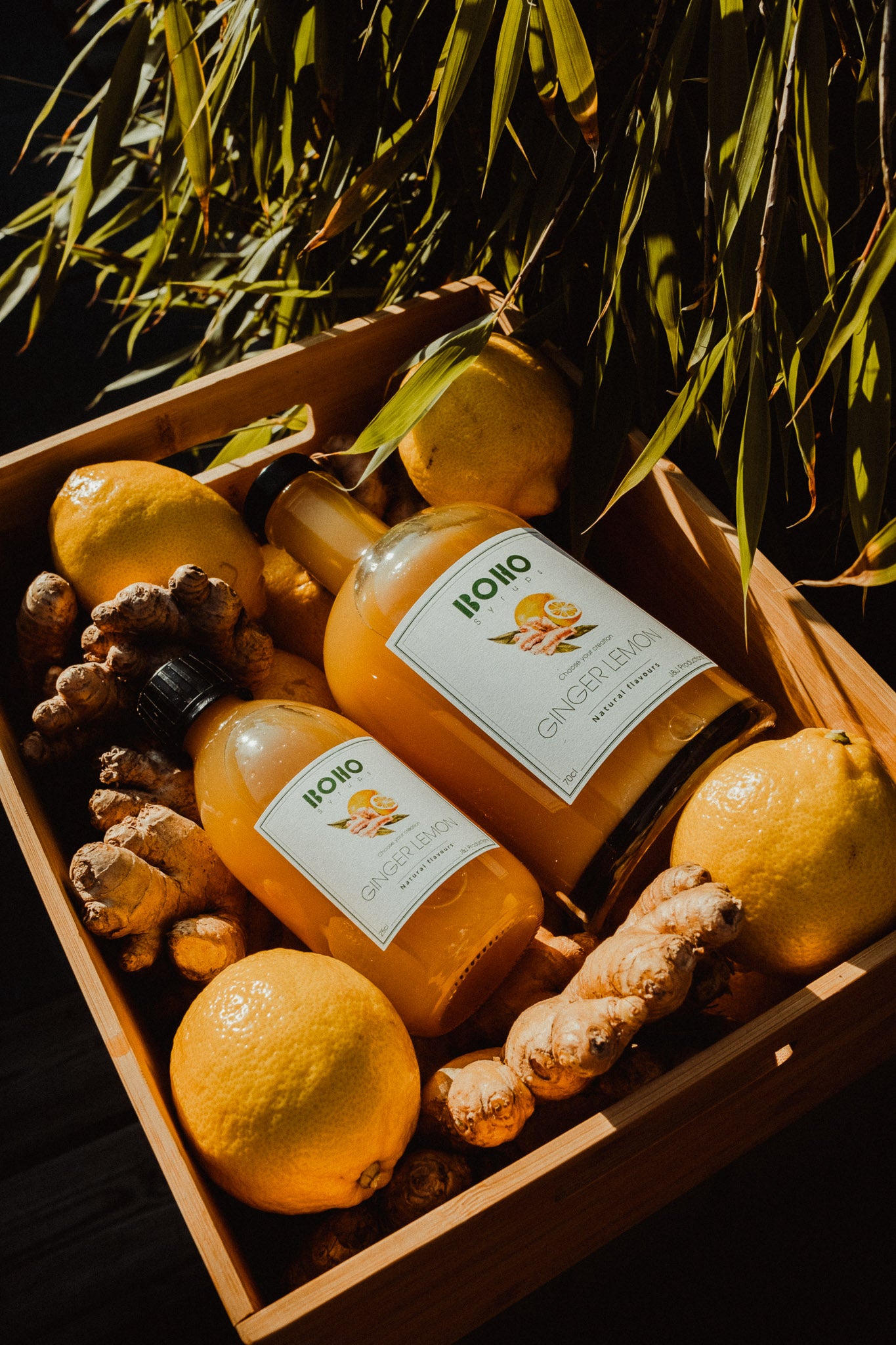 Gember & Citroen 25 cl